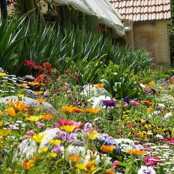 Les Italiens à la rescousse!